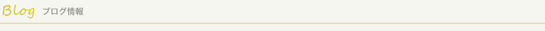 ブログ情報